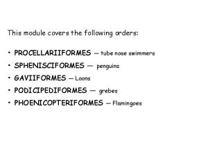 This module covers the following orders PROCELLARIIFORMES tube