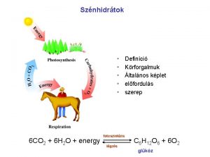 Sznhidrtok 6 CO 2 6 H 2 O