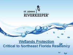 Wetlands Protection Critical to Northeast Florida Resiliency Wetlands