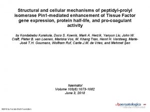 Structural and cellular mechanisms of peptidylprolyl isomerase Pin