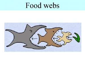 Food webs Food webs Food webs some basic