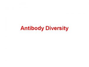 Antibody Diversity Immunoglobulin antibody Antibody response B cells