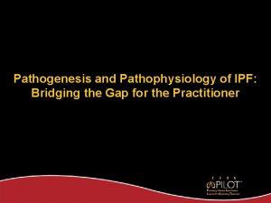 Pathogenesis and Pathophysiology of IPF Bridging the Gap