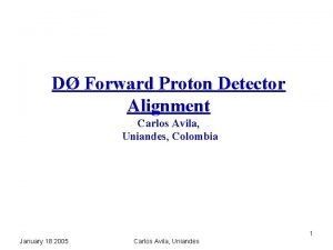 D Forward Proton Detector Alignment Carlos Avila Uniandes