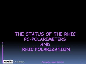 THE STATUS OF THE RHIC PCPOLARIMETERS AND RHIC