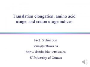Translation elongation amino acid usage and codon usage