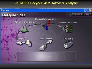 2 D DIGE Decyder v 6 5 software
