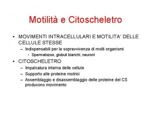 Motilit e Citoscheletro MOVIMENTI INTRACELLULARI E MOTILITA DELLE