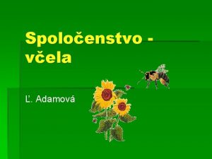 Spoloenstvo vela Adamov Vela medonosn Patr medzi uiton