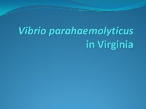 Vibrio parahaemolyticus in Virginia Vibriosis illness reporting Vibriosis