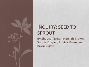 INQUIRY SEED TO SPROUT By Shauna Turner Hannah