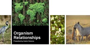 Organism Relationships Presented by Kesler Science Essential Questions