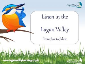 Linen in the Lagan Valley From flax to