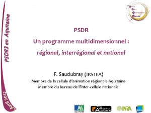 PSDR Un programme multidimensionnel rgional interrgional et national