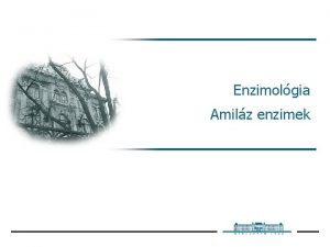 Enzimolgia Amilz enzimek Kemnyt Bevezets Fontos sznhidrt forrs