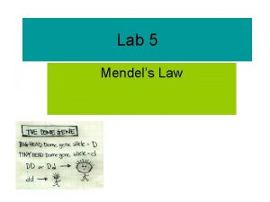 Lab 5 Mendels Law Gregor Johann Mendel 1822