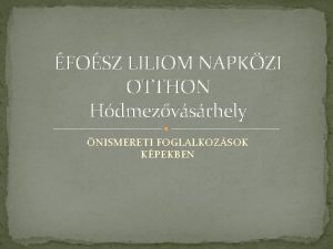 FOSZ LILIOM NAPKZI OTTHON Hdmezvsrhely NISMERETI FOGLALKOZSOK KPEKBEN