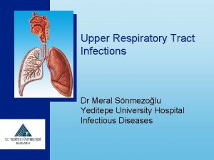 Upper Respiratory Tract Infections Dr Meral Snmezolu Yeditepe