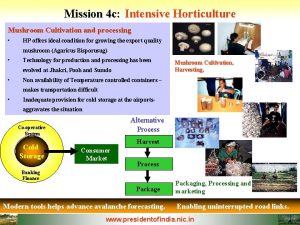 Mission 4 c Intensive Horticulture Mushroom Cultivation and