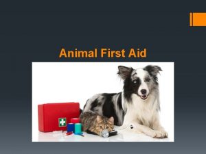 Animal First Aid What is First aid FIRST