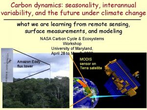 Carbon dynamics seasonality interannual variability and the future