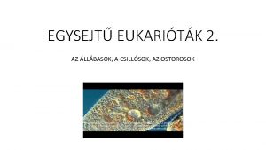 EGYSEJT EUKARITK 2 AZ LLBASOK A CSILLSOK AZ