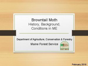 Browntail Moth History Background Conditions in ME Department