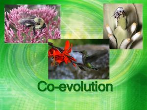 Coevolution Coevolution This is the genetic change in