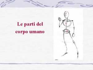 Le parti del corpo umano Osservando il nostro