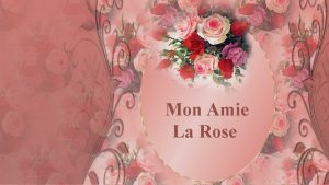 Mon Amie La Rose Le rosier endormi sveille