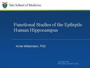 Functional Studies of the Epileptic Human Hippocampus Anne