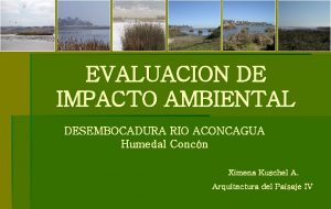 EVALUACION DE IMPACTO AMBIENTAL DESEMBOCADURA RIO ACONCAGUA Humedal
