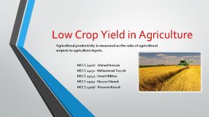 Low Crop Yield in Agriculture Agricultural productivity is