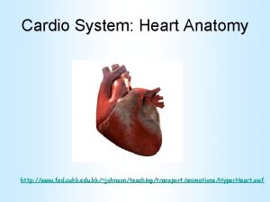 Cardio System Heart Anatomy http www fed cuhk