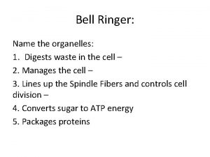 Bell Ringer Name the organelles 1 Digests waste