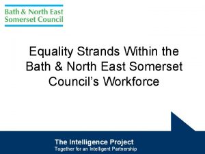 Equality Strands Within the Bath North East Somerset