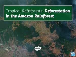 Tropical Rainforests Deforestation in the Amazon Rainforest Learning