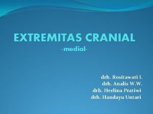 EXTREMITAS CRANIAL medial drh Rositawati I drh Analis