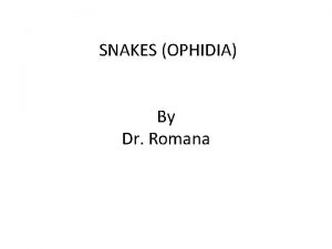 SNAKES OPHIDIA By Dr Romana Classification 1 Poisonous