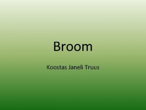 Broom Koostas Janeli Truus Br 2 Mittemetall 7