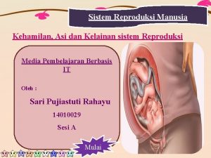 Sistem Reproduksi Manusia Kehamilan Asi dan Kelainan sistem