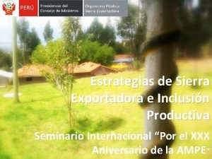 Estrategias de Sierra Exportadora e Inclusin Productiva Seminario