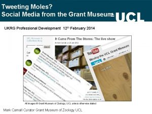 Tweeting Moles Social Media from the Grant Museum