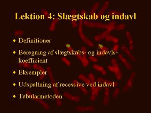 Lektion 4 Slgtskab og indavl Definitioner Beregning af