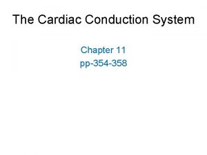 The Cardiac Conduction System Chapter 11 pp354 358