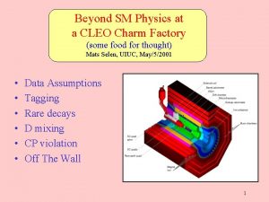 Beyond SM Physics at a CLEO Charm Factory