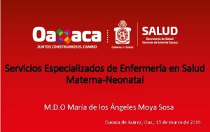 Servicios Especializados de Enfermera en Salud MaternaNeonatal M