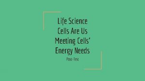 Life Science Cells Are Us Meeting Cells Energy