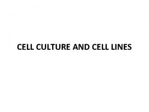 CELL CULTURE AND CELL LINES Cell culture refers