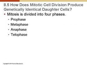 8 5 How Does Mitotic Cell Division Produce